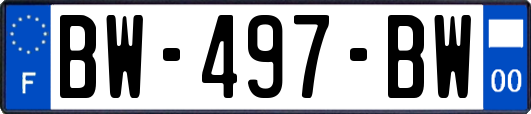 BW-497-BW