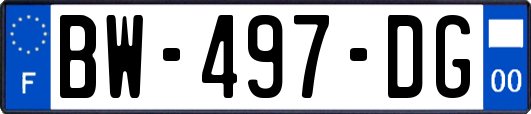 BW-497-DG