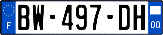 BW-497-DH