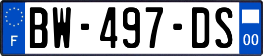 BW-497-DS