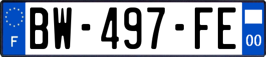 BW-497-FE