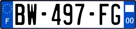 BW-497-FG