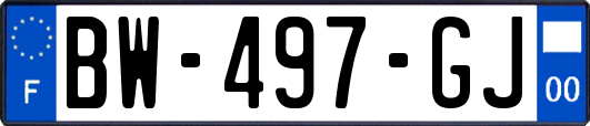 BW-497-GJ