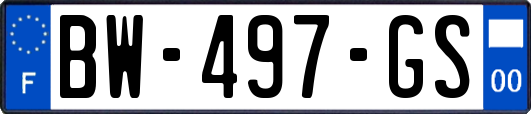 BW-497-GS