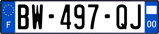 BW-497-QJ