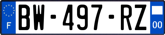 BW-497-RZ