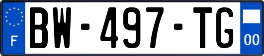 BW-497-TG