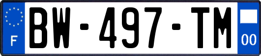BW-497-TM