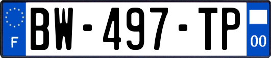 BW-497-TP