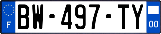 BW-497-TY