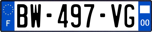 BW-497-VG