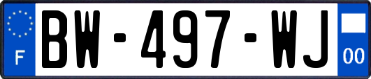 BW-497-WJ