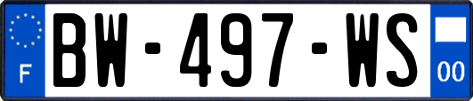 BW-497-WS
