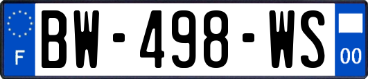 BW-498-WS