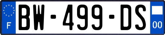 BW-499-DS