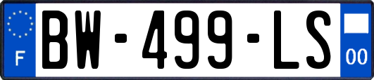 BW-499-LS