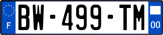 BW-499-TM