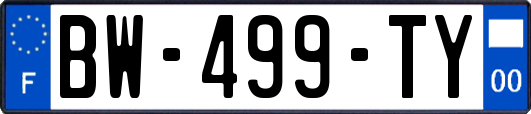 BW-499-TY