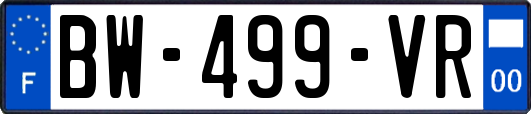 BW-499-VR