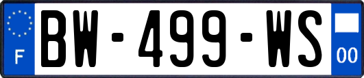 BW-499-WS