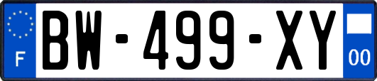 BW-499-XY