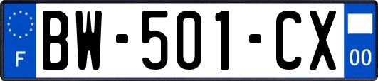 BW-501-CX