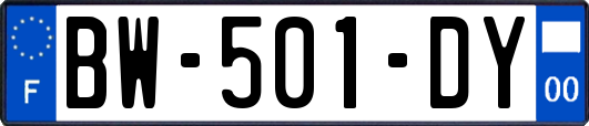 BW-501-DY