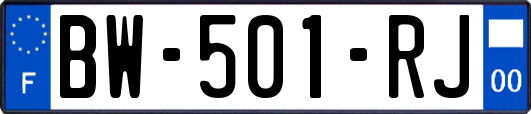 BW-501-RJ