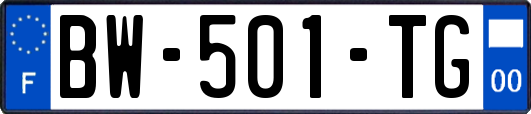 BW-501-TG