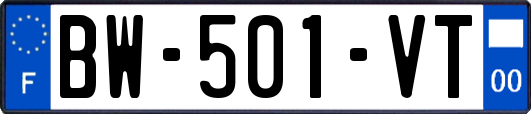 BW-501-VT