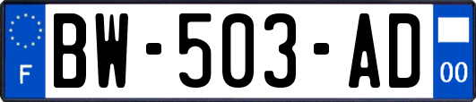 BW-503-AD