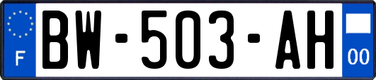 BW-503-AH