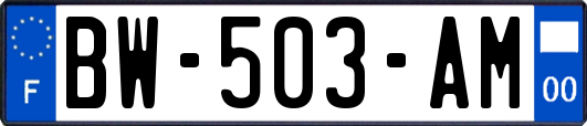 BW-503-AM