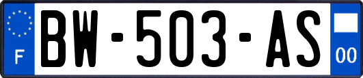 BW-503-AS