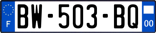 BW-503-BQ