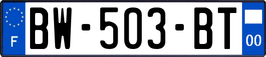 BW-503-BT