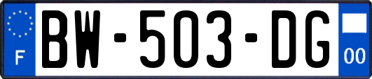 BW-503-DG