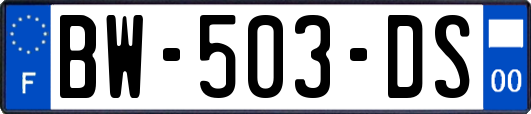 BW-503-DS