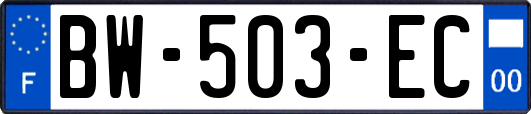 BW-503-EC