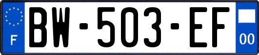 BW-503-EF