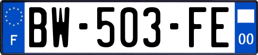 BW-503-FE