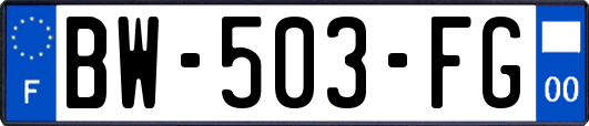 BW-503-FG