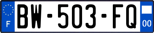 BW-503-FQ