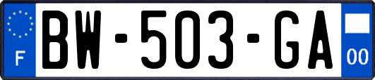 BW-503-GA