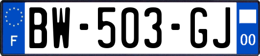 BW-503-GJ