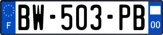 BW-503-PB