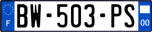 BW-503-PS