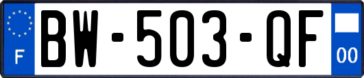 BW-503-QF