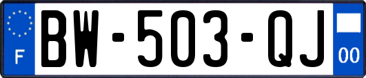 BW-503-QJ