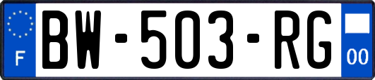 BW-503-RG